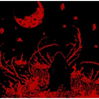 OUTLINE - Fire Whiplash  CD